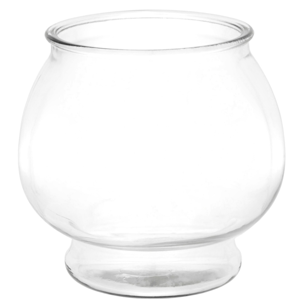 Footed Glass Fishbowl 1 Gallon Aquarium Terrarium